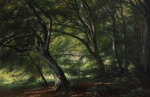 Dawnbringer: Legacy 1.15 – Through the Woods